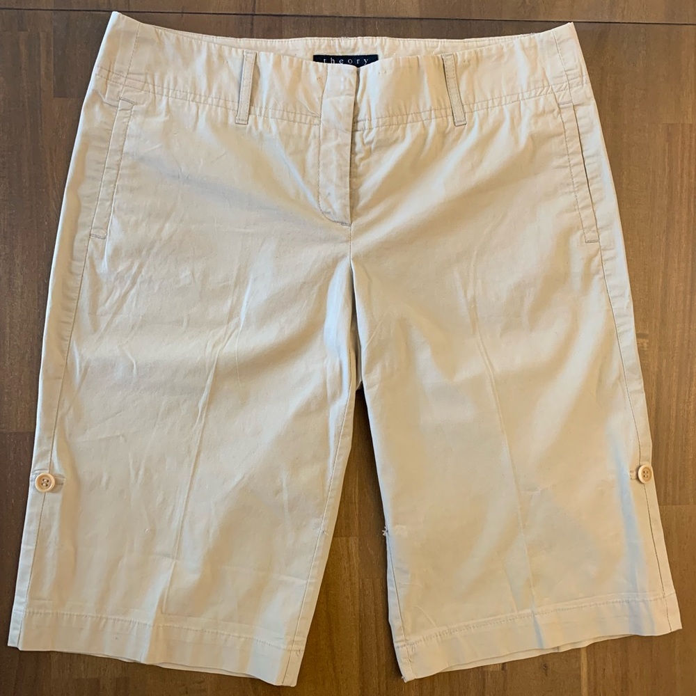 Theory Size 10 Shorts